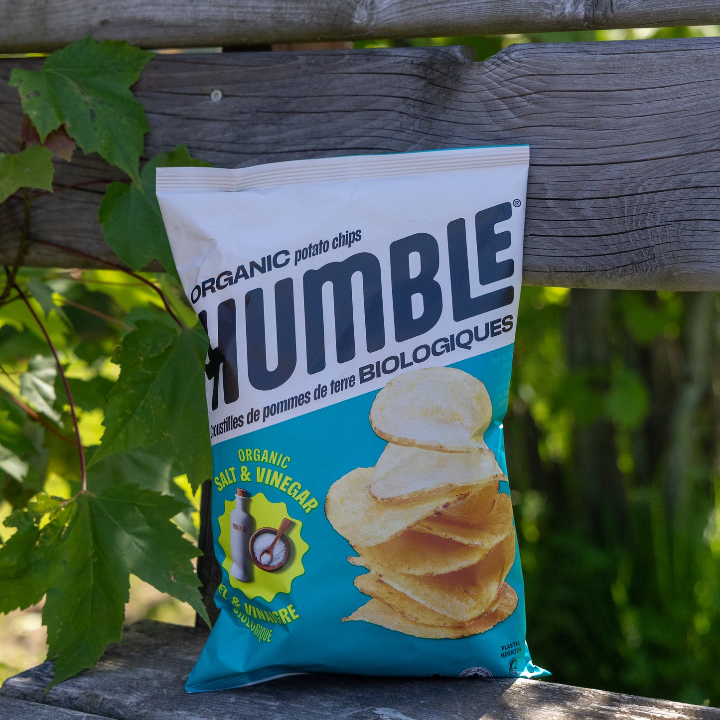 Salt & Vinegar Humble Chips