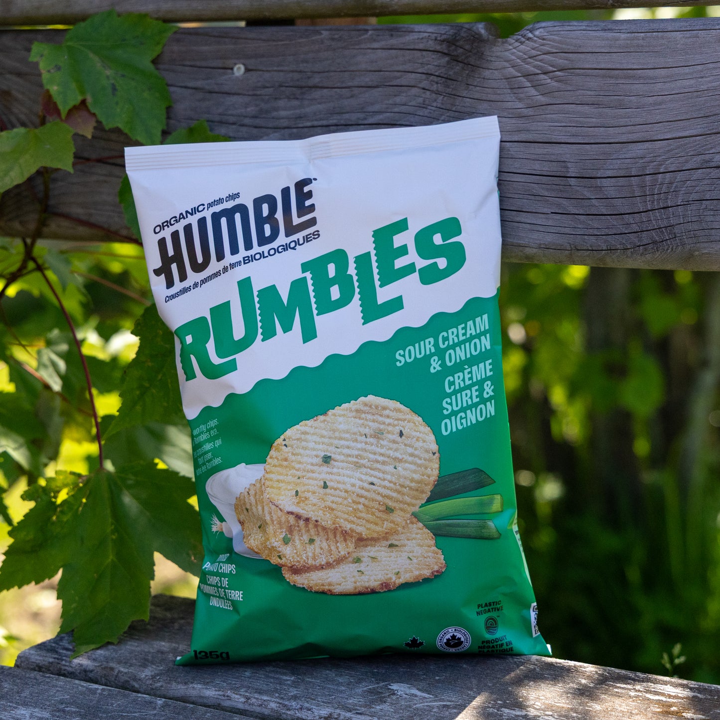Sour Cream & Onion Humble Chips