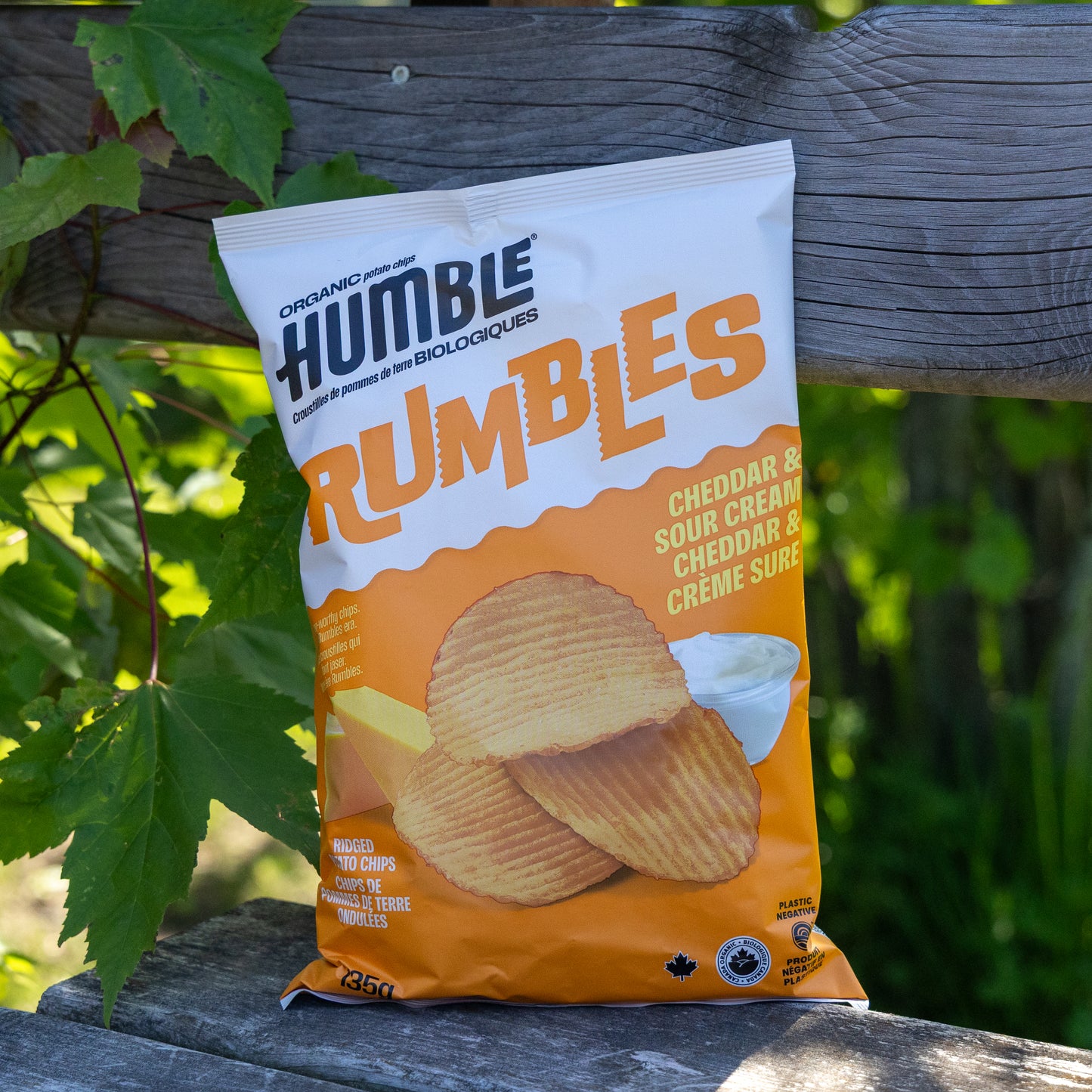 Cheddar & Sour Cream Humble Chips